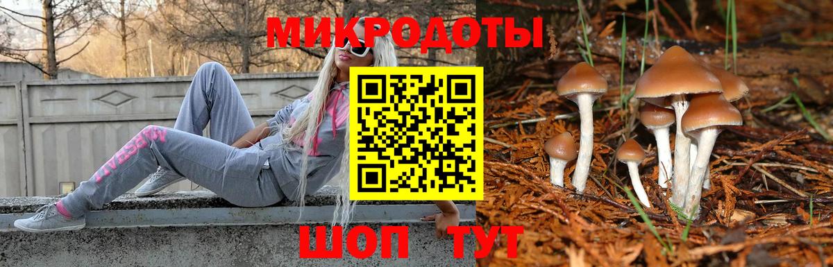 Галлюциногенные грибы прущие грибы Северобайкальск